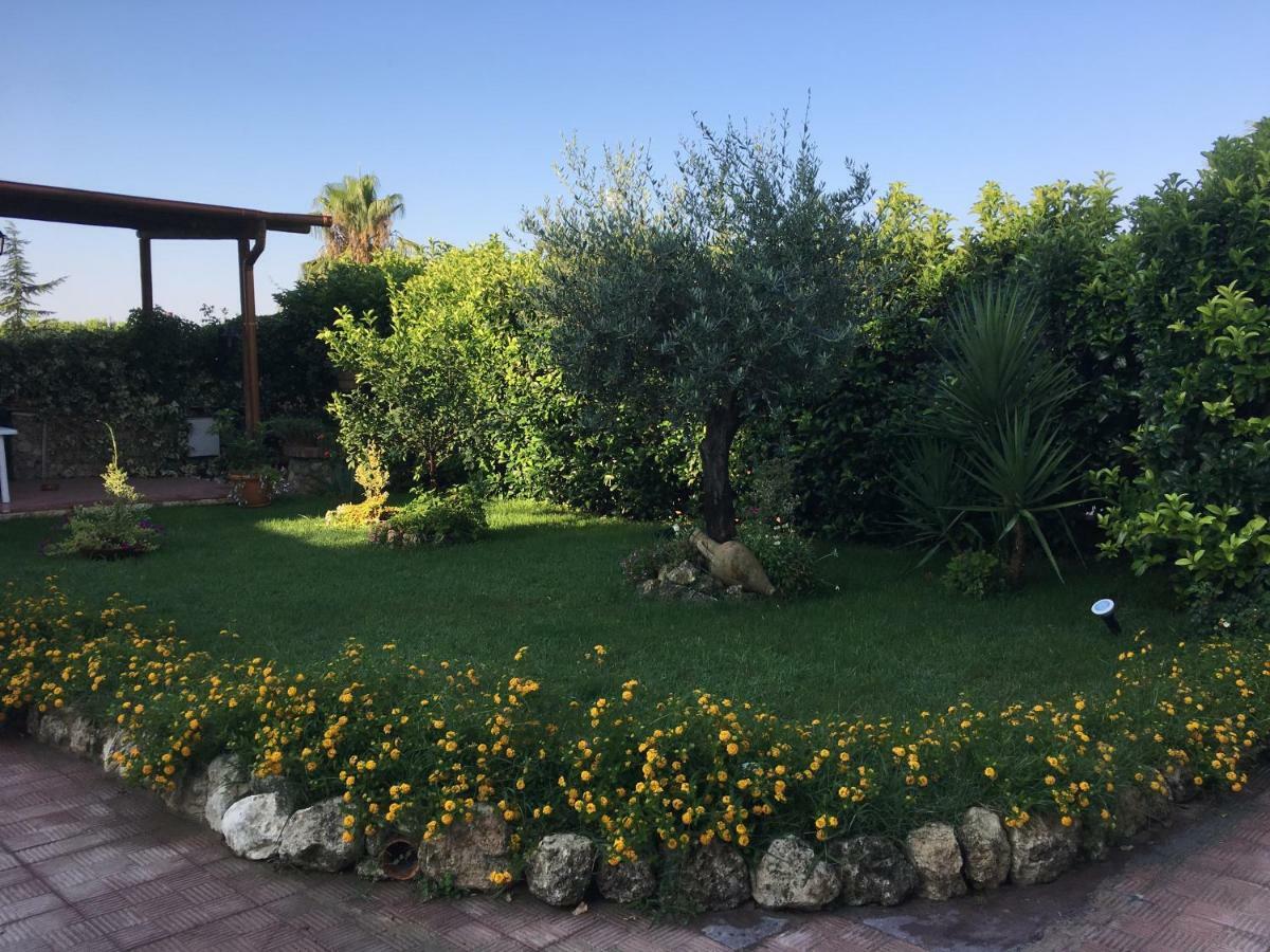 ***** La Casa Di Gio Apartment Калтанисета Екстериор снимка