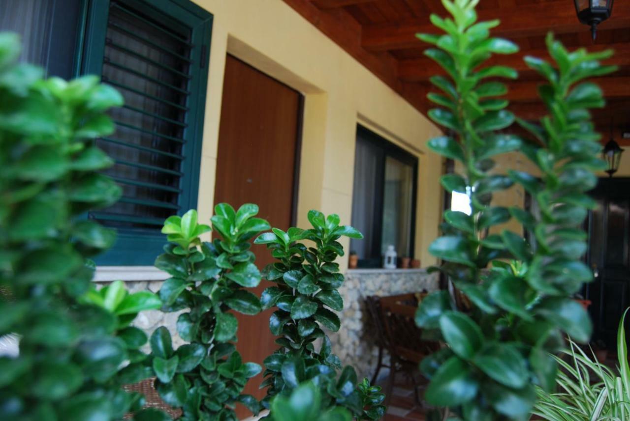 ***** La Casa Di Gio Apartment Калтанисета Екстериор снимка